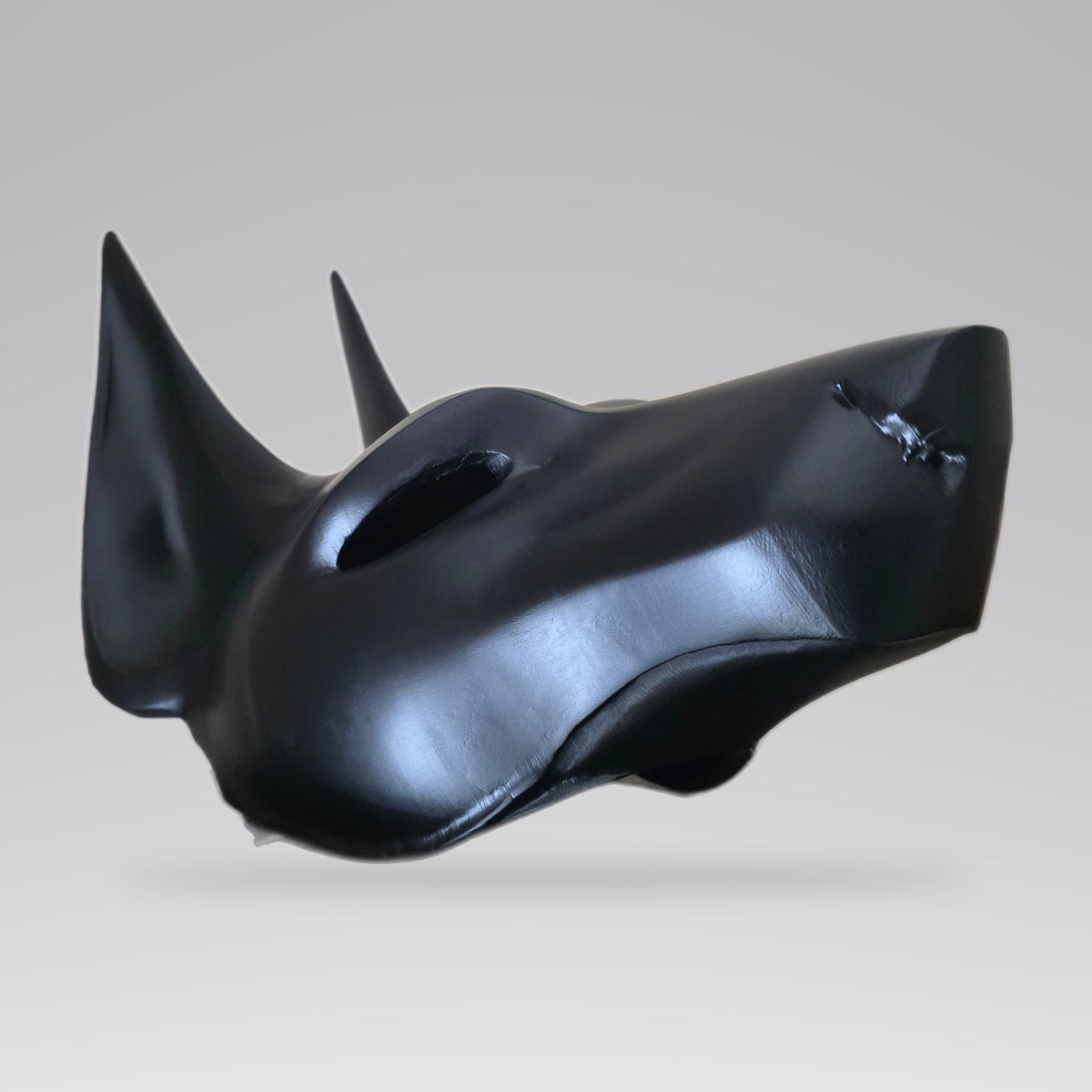 Custom Anubis Mask